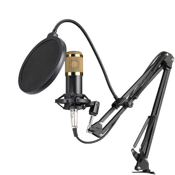 Stadroom	-	Microfon de studio professional